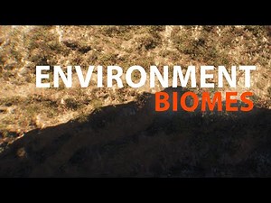 Vast Environments in Gaea | Houdini