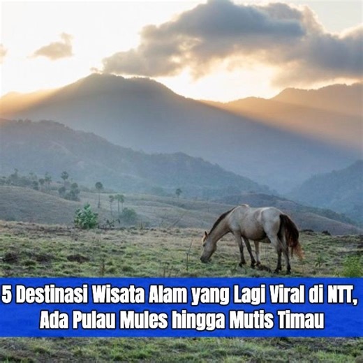 Ada sejumlah destinasi wisata alam di Nusa Tenggara Timur (NTT) yang viral di media sosial. Foto dan video tempat wisata ini viral di media sosial baik di Instagram maupun di TikTok. Tempat wisata alam ini juga menjadi destinasi favorit wisatawan. #destinasiwisata #wisataalam #nusatenggaratimur #wonderfulindonesia #visitntt | Redaksi.Relung