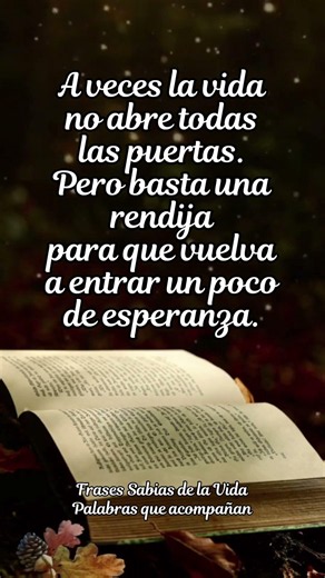 A veces basta una pequeña oportunidad | Inspiración real