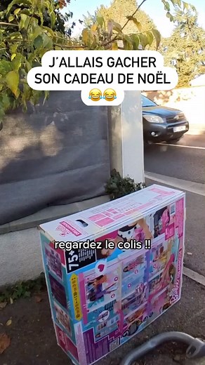 Un livreur on Instagram: "J’allais gâcher la surprise de la petite 😂 #livreuramazon #livraison #livreur #amazon #colis #delivery #deliverydriver #noel"