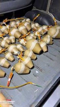 Different sizes and effects Shells testing quality 🔥 #pyro #fireworks #vuurwerk