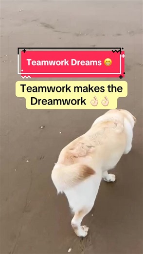 Teamwork makes the dreamwork: 5 simple teamwork tips