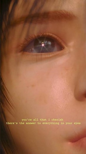 t024 'FFY' Offical Visualizer