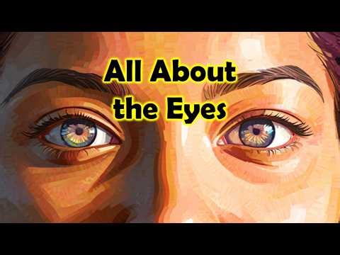 The Color and Shape of Your Eyes and Eyebrows (with Timestamps)