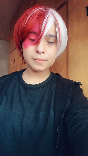 Exploring Todoroki's Character in BNHA