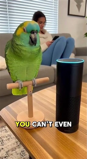 Parrot vs. Alexa: Who’s Smarter? 😂🦜 #SmartHomeFail #shorts