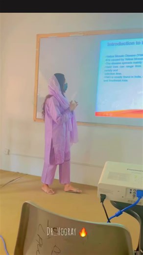 Final Defense for Academic Success