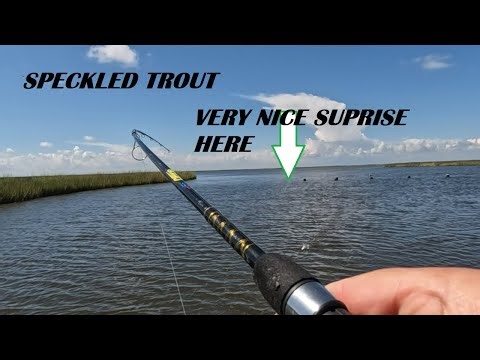 This Little Bayou Held a Surprise while Fishing For Speckled Trout!!