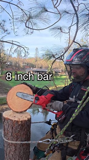 August Hunicke on Instagram: "Cuts Tree Down /w Hatchet #milwaukeehatchet"