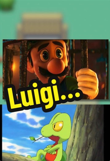 TheFlamingoHouse on TikTok