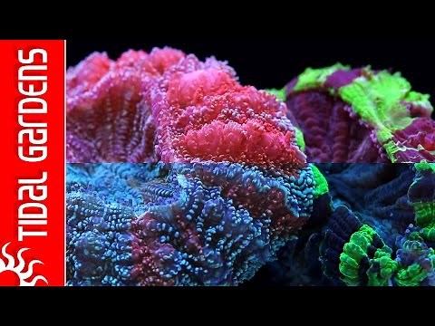 What a difference lighting makes!