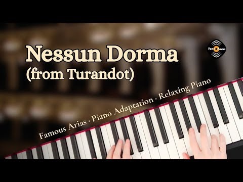 Nessun Dorma (from Turandot) · Famous Arias · Songs Without Words | Relaxing Piano | Tonepoem