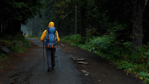 44K views · 191 reactions | Hitting the trails? Here are some tips to keep in mind before you go hiking. | USA TODAY | Facebook