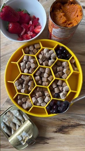 Plating Raw Food for Dogs with Toppers | We Feed Raw