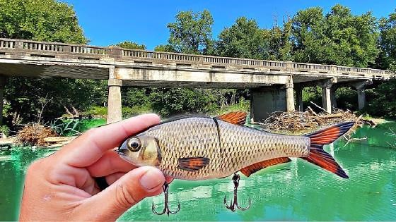 Hunting giant fish hiding deep in a backwoods creek