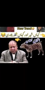 Adil Imam Pti on Reels