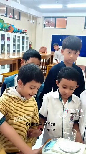 Exploring Matter and Measurement in Grade 4 Science