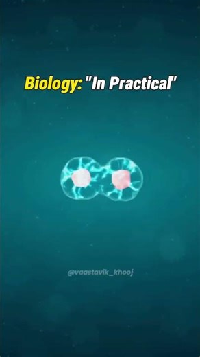 Biology in book ❎ Biology in practical ✅ #biology