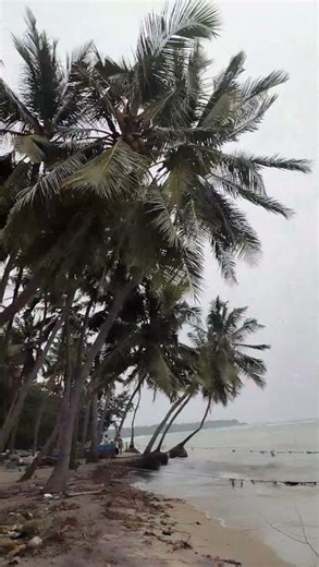 Relaxing Sea Waves | Beach Vibes 🏖️🌊 #rameswaram #travelvlog #beachvibes