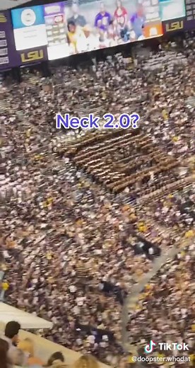 The Introverted Mullet on TikTok