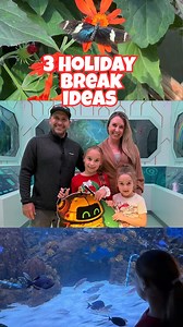 ✨ 3 Holiday Break Ideas✨ Looking for festive, fun-filled activities during winter break the whole family will love?🎄🎅🏻 🌟SAVE this REEL!🌟 @azboardwalk has something for everyone this holiday season! 🌵❤️ 🎄🦋 Butterfly Wonderland Step into the beauty and glow of Glistening Gardens at @butterflywonderlandaz where twinkling lights and butterflies create a magical winter escape. 🦈🐠 OdySea Aquarium It’s a Winter Waterland at @odysea.aquarium! Don’t miss SeaTREK® Santa making appearances — and 