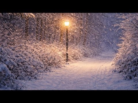 Snowfall in a Quiet Forest ❄️ Deep Sleep & Relaxation | 8 Hours