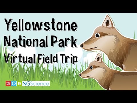 Yellowstone National Park – Virtual Field Trip