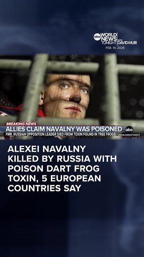 Five European countries claim that Russian opposition leader Alexei Navalny was poisoned with a rare lethal toxin found in poison dart frogs. Russia claimed that Navalny died of natural causes. Patrick Reevell has the latest.