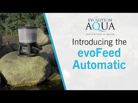 evoFeed Automatic by Evolution Aqua
