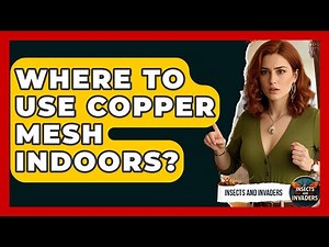 Where To Use Copper Mesh Indoors? - Insects and Invaders