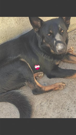 Videos de montserrat (@montserrat9576) con “Estilo Mexicano - Doble ONE Flow Letal & Kano Lirikal Oficial”