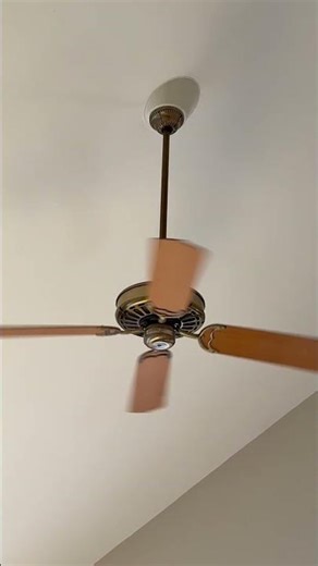 Casablanca Zephyr Ceiling Fan on speed 6 #ceilingfan #vintage #rare