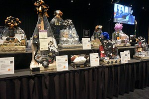 Blue Dolphin Casino Club Inc