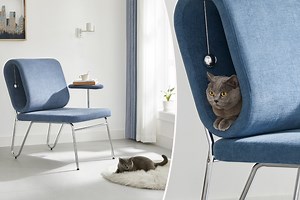 Il invente un fauteuil design avec un dossier dans lequel votre chat peut dormir tranquillement