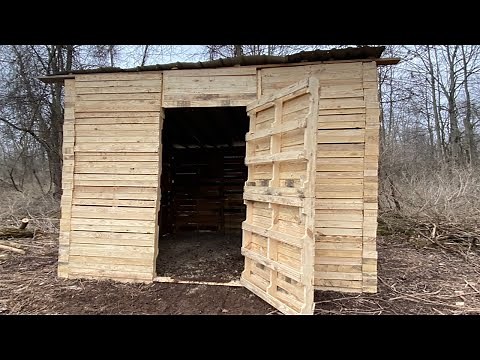 Cabin/Shed Built With Pallet Wood On Off Grid Land! DIY