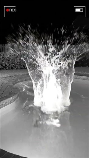 Alligator Breaks Into Backyard Pool — Real Home Security Footage! #shorts