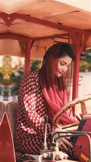 Maryam Nawaz's Role in Punjab Politics Explained