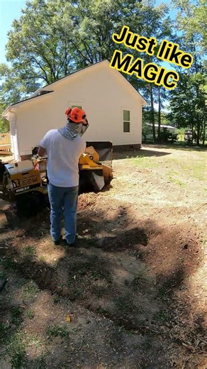 Just like Magic #stump #stumps #stumping #stumpwork #stumpgrinder #stumpgrinding #stumpbusiness