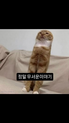 사악한 레리: 정말 무서운 이야기