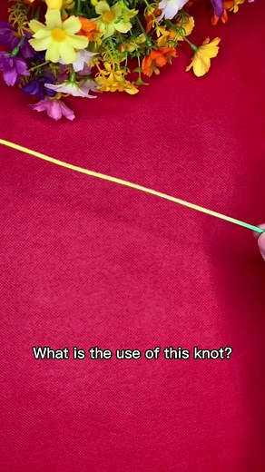 How to Tie a Knot: Step-by-Step Guide