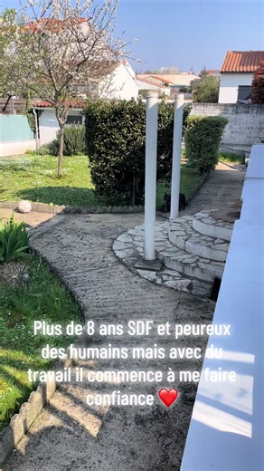 Chat abandonné après 8 ans, enfin confiance