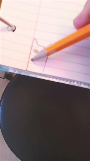 what type of cat could I draw next?