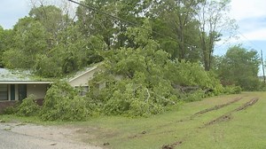 Tree falls on house during Tuesday night's storms