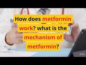 How does metformin work? what is the mechanism of metformin?