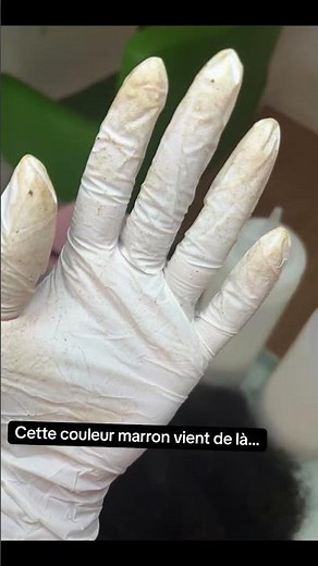 🚨 Excréments de poux ? Traitement anti-poux 📍238 Av Félix Faure Lyon #Poux