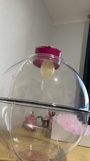 Pretty and pink teddy balloon 🌸 #giftedballoons #stuffedballoons #smallbussiness #mandurah #fyp #asmr #asmrsound