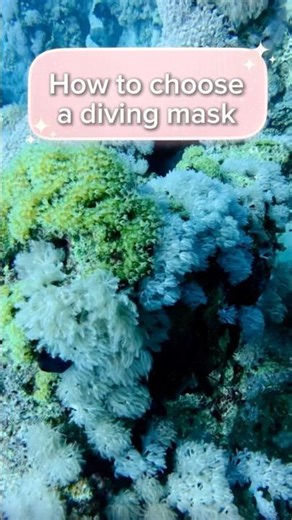 How to choose the perfect diving mask!