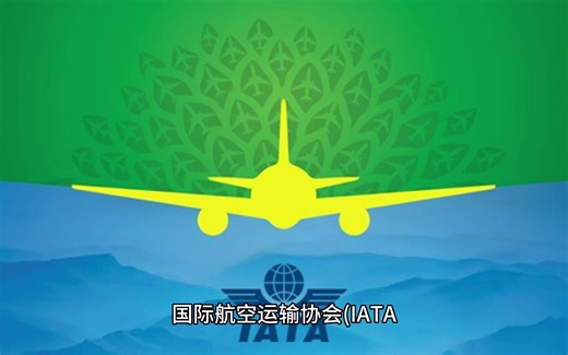 国际航空运输协会（IATA）