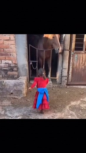 🐴😍. | Vida-Ranchera