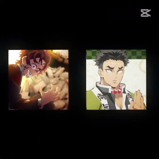 tanjiro vs all the Best slayers